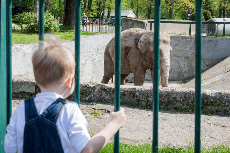 Калининградский зоопарк